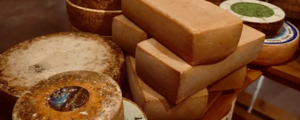 insieme di formaggi impilati in esposizione per la festa del formaggio di Thun dove si arriva con il trenino verde delle alpi