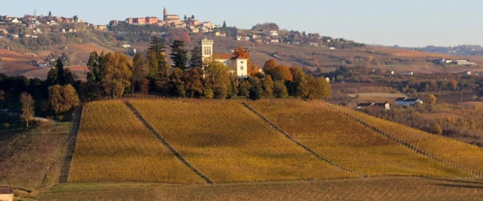 Vista sulle Langhe e sul Castello di Barolo, città del vino rosso dove si può visitare i vigneti e degustarne il prodotto.