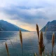 Lago di Garda con vista dalla riva. In primo piano ci sono pampas gialle che aprono la vista al lago con sfondo le montagne e il tramonto. Vittoriale degli italiani.