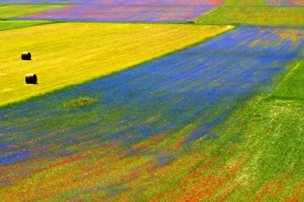 Umbria, lenticchie e i colori delle loro fioriture tra i borghi di Norcia, Assisi e le Cascate delle Marmore.